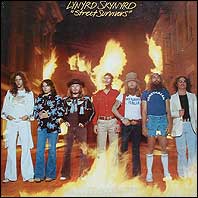 Lynyrd Skynyrd - Street Survivors "flames" cover