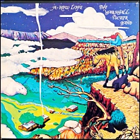 Marshall Tucker Band - A New Life - original 1974 vinyl